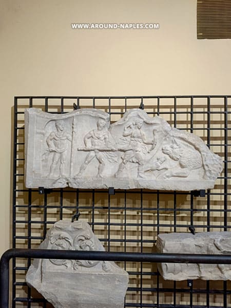 museo gladiatori anfiteatro campano caccia calidonia
