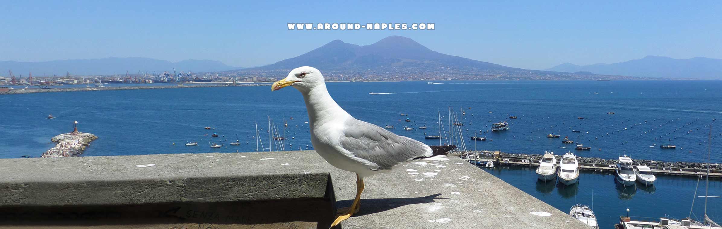 aropund naples