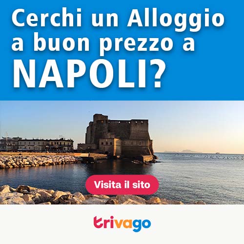 Il Castel dell' Ovo di Napoil