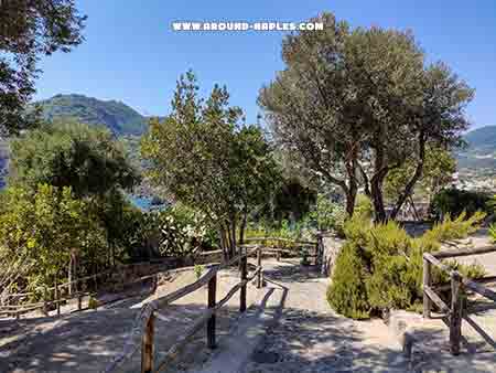 Il viale dei Palmenti del castello d' Ischia