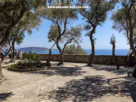 Panorama dal terrazzo degli ulivi del castello aragonese d' Ischia