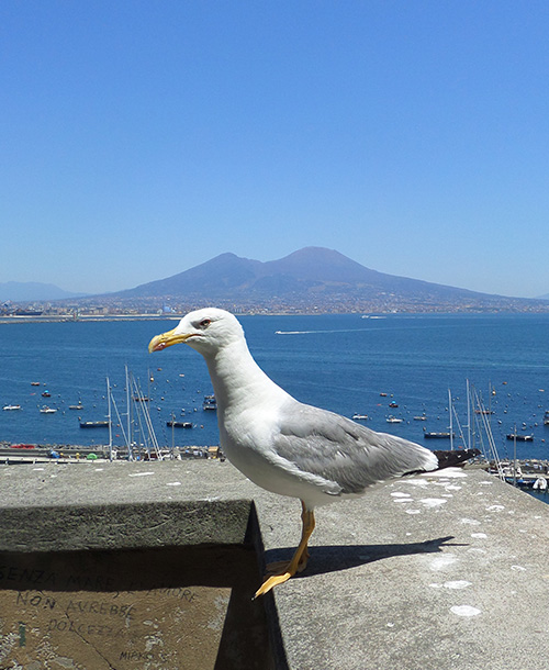 around naples