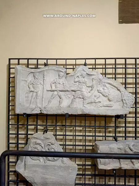 museo gladiatori anfiteatro campano caccia calidonia