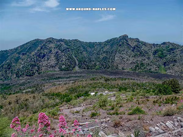 Panorama naturalistico all'interno del Parco Nazionale del Vesuvio Vista panoramica dall'alto del Parco Nazionale del Vesuvio con sentieri e vegetazione