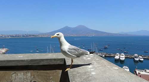 Around Naples, il sito web sui Dintroni di napoli around naples