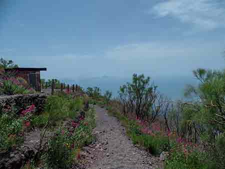 IL sentiero del Gran Cono del Vesuvio