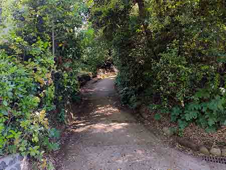 Un sentiero nei giardini della villa Floridiana sul Vomero